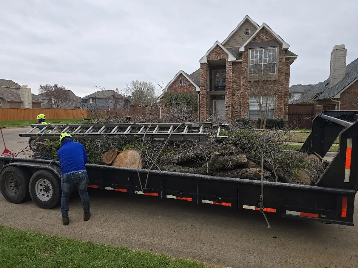Expert Tree Fertilization with proper safety equipment in Blair